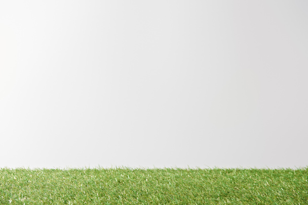 fresh bright green grass on white background with copy space - Photo, Image