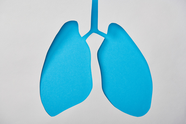 vista dall'alto del modello vuoto di polmoni blu isolato su bianco
 - Foto, immagini