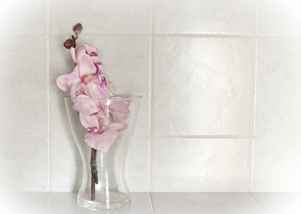 Orquídeas de plástico en el vidrio con el fondo blanco
  - Foto, Imagen