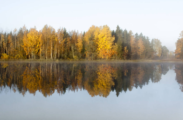 wunderschöne herbstliche Morgenlandschaft des Kymijoki-Flusses im Nebel. Finnland, Kymenlaakso, Kouvola - Foto, Bild
