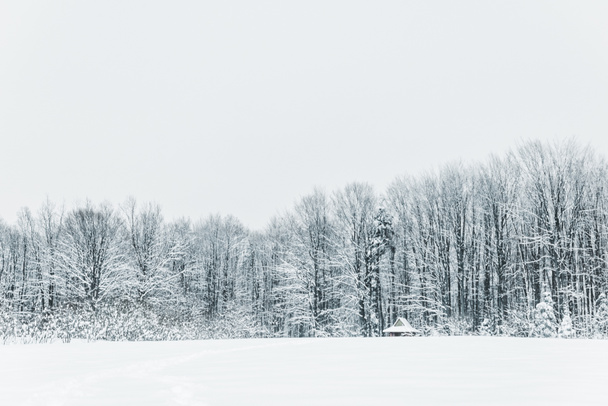 Landschaft aus verschneiten Karpaten und Wäldern im Winter - Foto, Bild