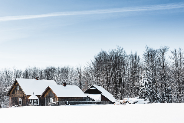 malé dřevěné vesnice sněhem v Karpatských horách  - Fotografie, Obrázek