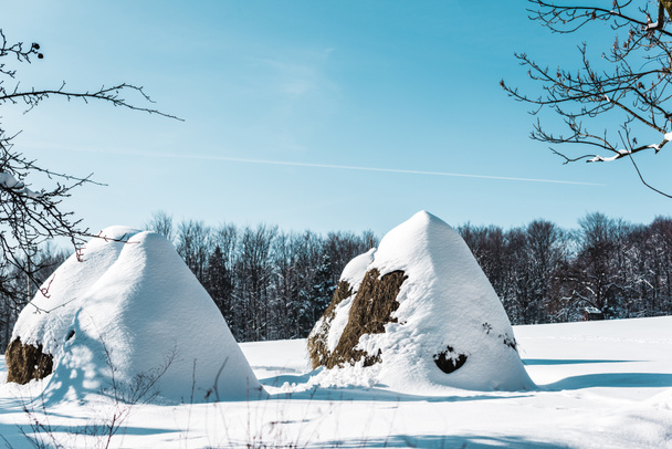 Haystacks hóval Kárpátokban a nappali - Fotó, kép