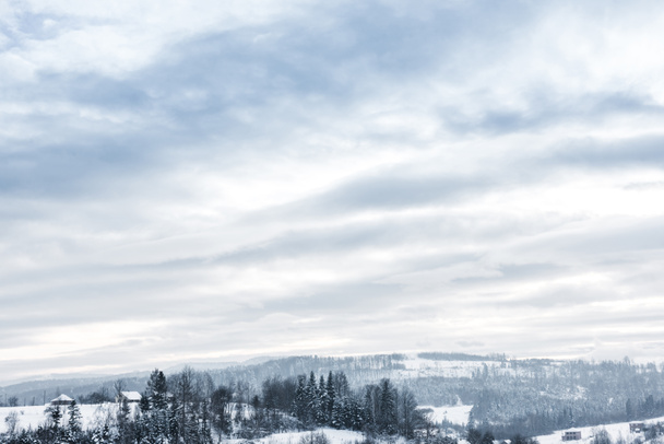 scenic view of snowy carpathian mountains and cloudy sky in winter  - Photo, Image