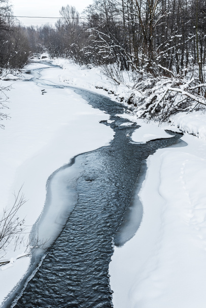 kylmä vuori puro luminen metsä karpaattien
 - Valokuva, kuva