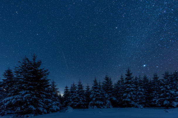 sötét ég fényes csillag a Kárpátok téli erdőben éjszaka teljes - Fotó, kép