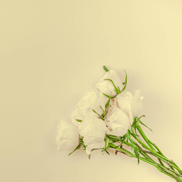 Creative ylhäältä näkymä tasainen lay tuoreita valkoisia ruusuja kimppu kopioi tilaa pastelli paperi tausta minimalismi tyyliin. Malli naisellinen blogi sosiaalisen median loma häät kutsukortti
 - Valokuva, kuva
