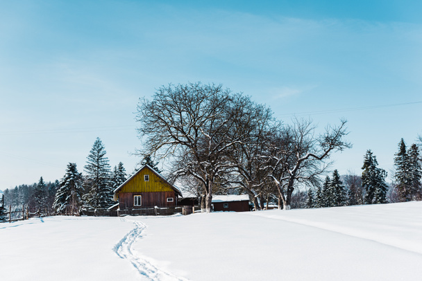 pequeño pueblo en las montañas de los carpatos cerca del bosque con rastros en la nieve
 - Foto, Imagen
