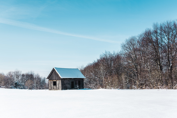 vista panorâmica com casa de madeira em montanhas nevadas cárpatos
 - Foto, Imagem