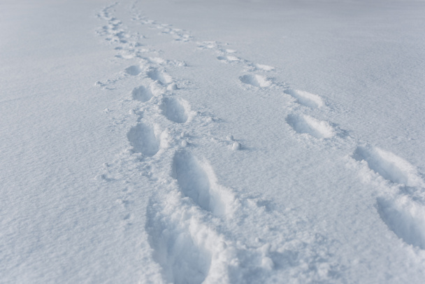 voetafdrukken op witte sneeuw met kopie ruimte wissen - Foto, afbeelding