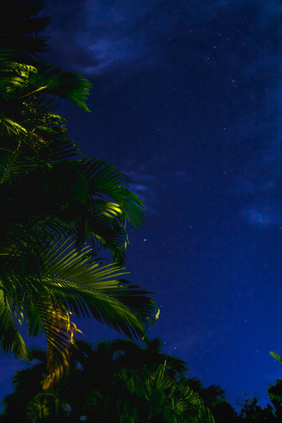 Tropische nachtelijke hemel met sterren, Florida Keys, Florida, Verenigde Staten - Foto, afbeelding
