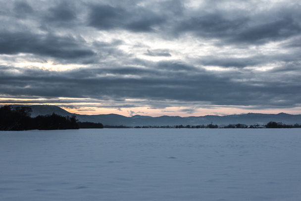 landschap van de Karpaten bedekt met sneeuw met bewolkte hemel en bomen bij dageraad  - Foto, afbeelding