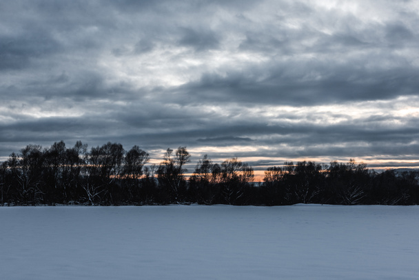 paisaje de montañas carpáticas cubiertas de nieve con cielo nublado y árboles al amanecer
  - Foto, imagen