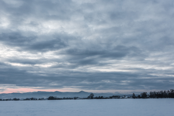 Karpaattien vuorten maisema lumen peitossa pilvistä taivasta ja puita aamunkoitteessa
   - Valokuva, kuva