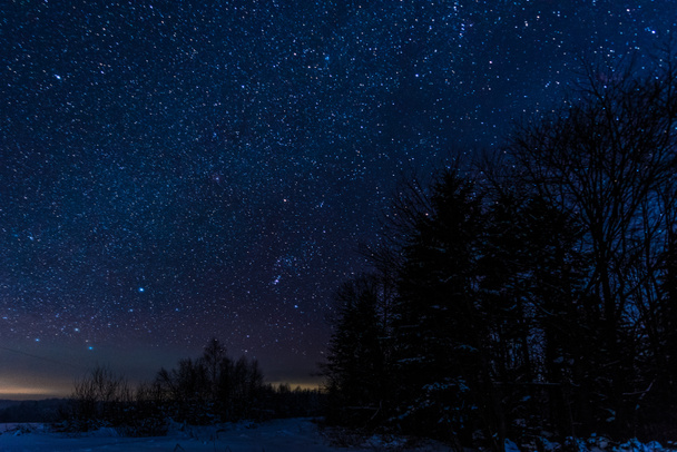 Tähtikirkas tumma taivas ja puut Karpaattien vuorilla yöllä talvella
 - Valokuva, kuva