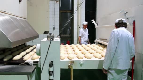 ekmek üretim hattı - Video, Çekim