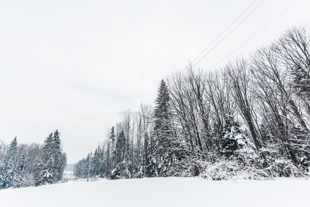 luonnonkaunis näkymä karpaattien vuoret ja puut lumen peitossa
  - Valokuva, kuva