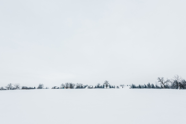 vista panorámica de las montañas de los Cárpatos cubiertas de nieve
  - Foto, Imagen