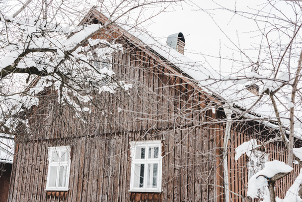 rural aged wooden cottage and dry trees covered with snow  - Foto, immagini