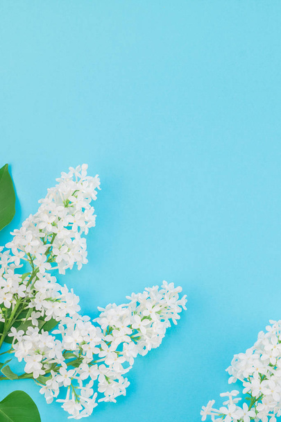 Δημιουργική ιδέα επίπεδη lay κάτοψη του λευκού λιλά λουλούδια πέταλα σε παστέλ μπλε φόντο με αντίγραφο χώρος σε minimal ύφος, πρότυπο για γράμματα, το κείμενο ή σχέδιο - Φωτογραφία, εικόνα