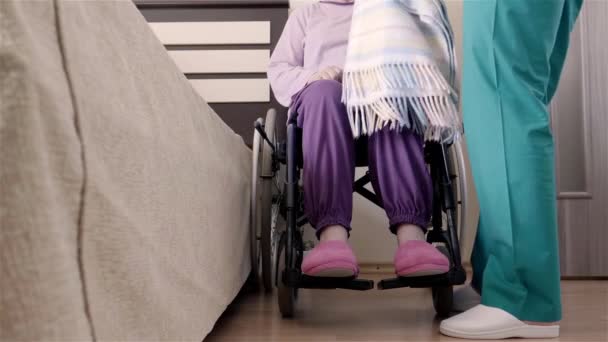 Verpleegkundige helpen ouderling gehandicapte vrouw in rolstoel te zetten haar in bed thuis of in een verpleeghuis. Slow motion 4k - Video