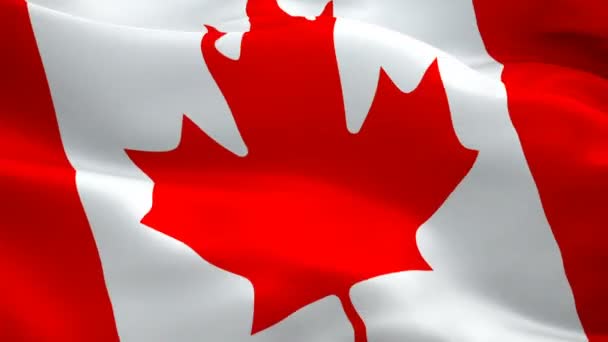 Canada flag video waving in wind. Realistic Canadian Flag background. Red maple leaf flag Closeup 1080p HD video. Ottawa 1080p Full HD 1920X1080 footage video waving.Canada seamlessly looping footage - Footage, Video
