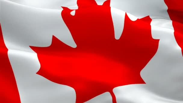 Canadian flag - Ottawa 1080p Full HD 1920X1080 footage video waving in wind. National 3d Canadian flag waving. Sign of Canada seamless loop animation. Canadian flag HD resolution Background 1080p - Footage, Video
