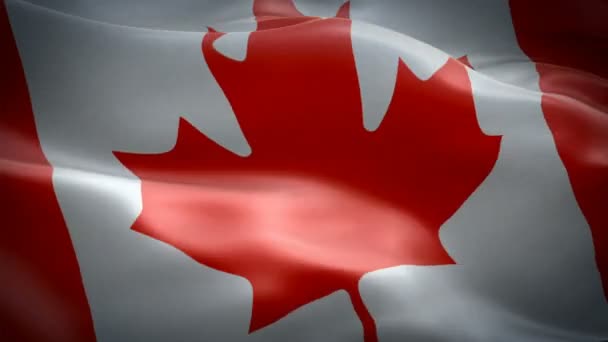 Canada flag video waving in wind. Realistic Canadian Flag background. Canada Flag Looping Closeup 1080p Full HD 1920X1080 footage. Canada North American country flags footage video for film,news - Footage, Video