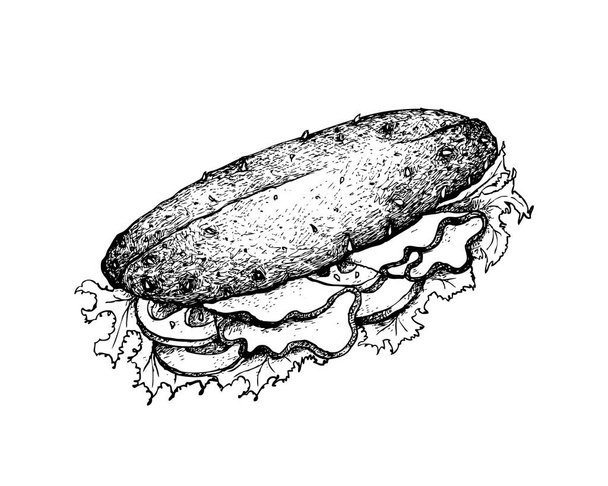 Resimde elle çizilmiş kroki lezzetli ev yapımı taze baget sandviç jambon, domates, marul, salatalık ve peynir ile beyaz arka plan üzerinde izole.. - Vektör, Görsel