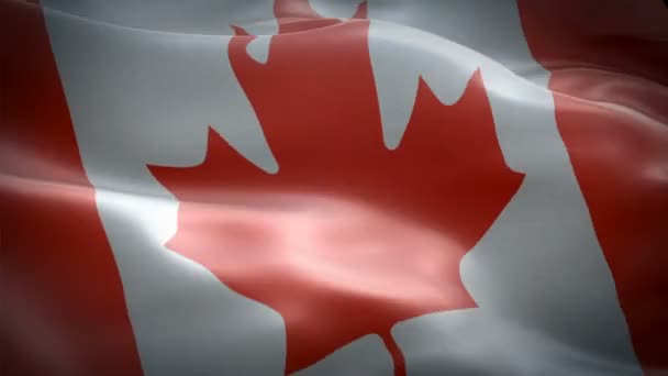 Канада размахивает флагом. Национальный 3d канадский флаг размахивает. Знак Canada seamless loop анимации. Канадский флаг HD разрешение Фон. Красный флажок из листьев кленовых листьев CUP 1080p HD видео. Флаг красного кленового листа
 - Кадры, видео