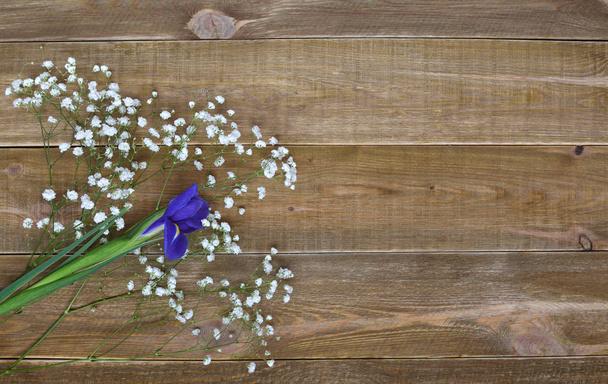 Vista superior de una flor de iris azul fresco y pequeñas flores delicadas blancas de Gypsophila paniculata sobre fondo de madera marrón grueso. concepto delicado primavera fresca. espacio para texto
. - Foto, Imagen