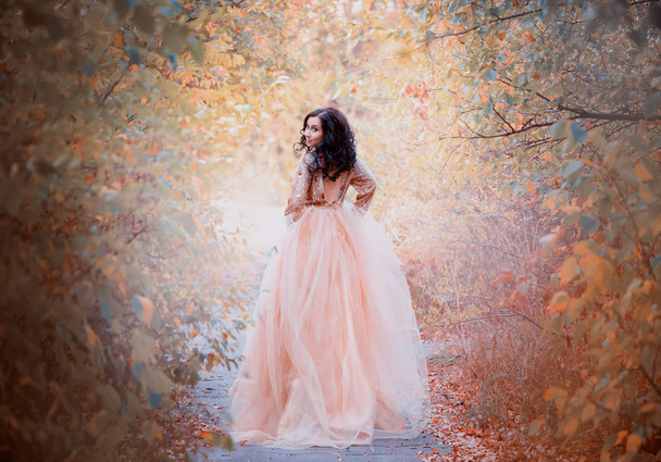 charming brunette with dark hair girl runs away from the ball, the princess in a luxurious royal gold delightful dress walks along the forest path and turns around with a sweet smile - Foto, afbeelding