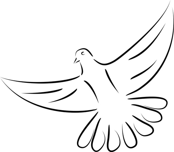 Birds, pigeon, pigeon in flight - Vector, Image