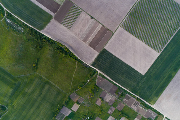 Aerial view of a field cut into different parts. Natural ornament - Zdjęcie, obraz
