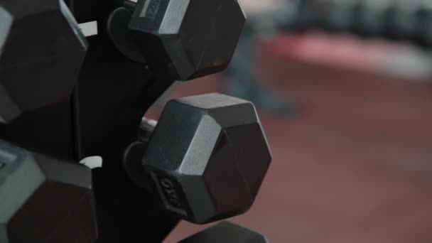 Stand with dumbbells in the gym - Footage, Video
