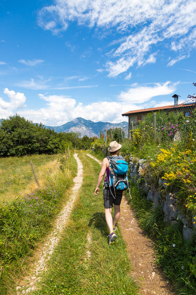Young woman is hiking in the nature: idyllic hiking path, green  - Valokuva, kuva