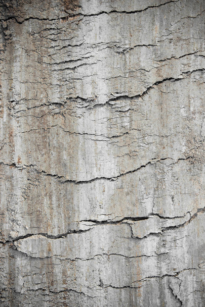 Gray texture ground. surface of earth pattern wallpaper. - Foto, Imagem