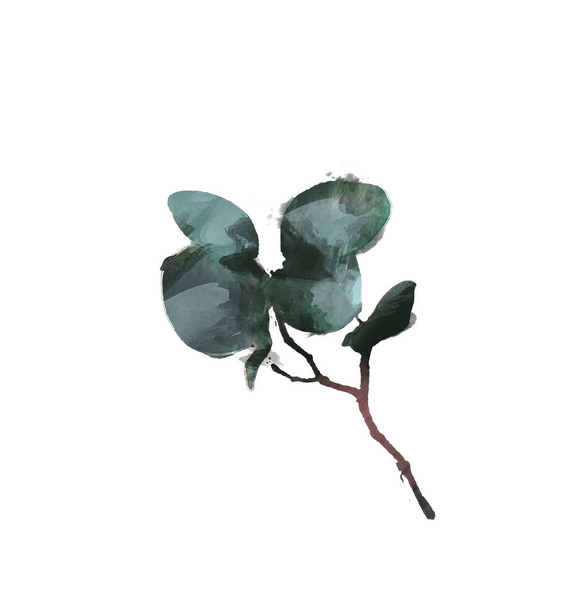Akvarell modern dekoratív eleme. Eukaliptusz zöld leveles koszorú, zöld ágakat, koszorú, határ, keret, elegáns akvarell elszigetelt kör, - Fotó, kép
