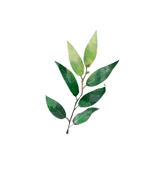 Aquarell modernes dekoratives Element. Eukalyptus runder grüner Blattkranz, grüne Zweige, Girlande, Rand, Rahmen, elegantes Aquarell isoliert, - Foto, Bild