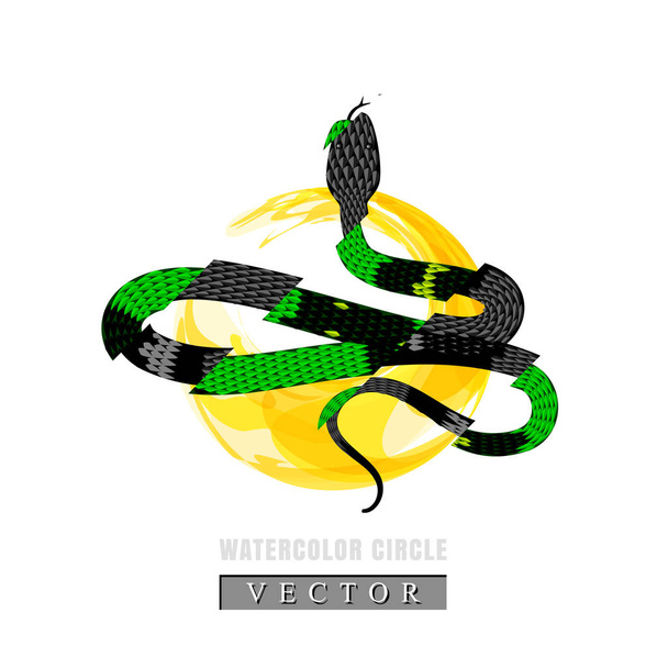 Illustration graphique vectorielle de serpent corail ou Micrurus pour la conception de T-shirt cool. Serpent à rayures orange et noires
 - Vecteur, image
