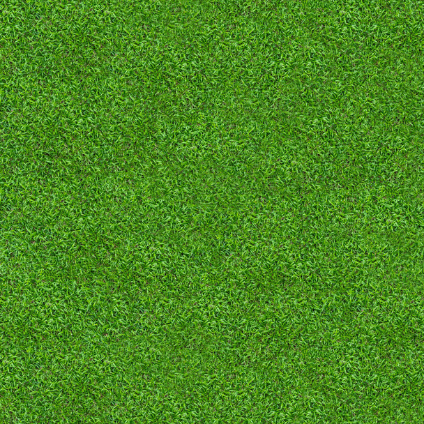 Green grass texture for background. Green lawn pattern and texture background. Close-up image. - Photo, Image