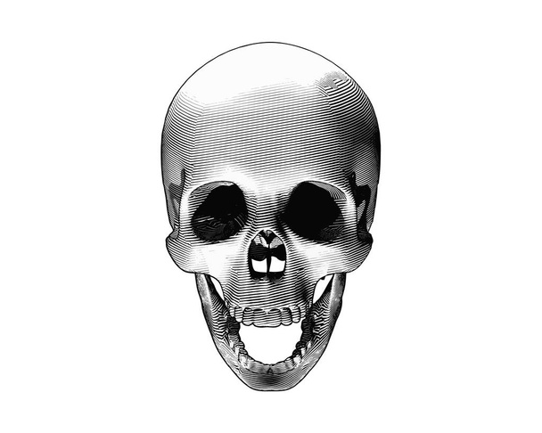 Engraving drawing skull open mouth in top view camera isolated on white background - Διάνυσμα, εικόνα