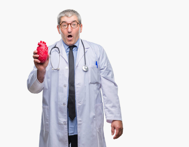 Красивий старший кардіолог лікар чоловік тримає серце над ізольованим тлом, наляканий шоком з несподіваним обличчям, боїться і схвильований виразом страху
 - Фото, зображення
