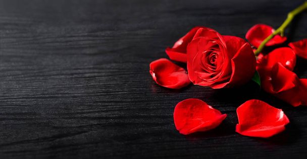 Sevgililer günü kırmızı gül gitf modern siyah ahşap zemin üzerine. Sevgiliye arka plan. Görüntü - Fotoğraf, Görsel