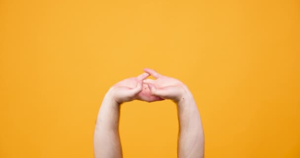 Hands making different silly signs isolated on yellow orange background in studio - Video