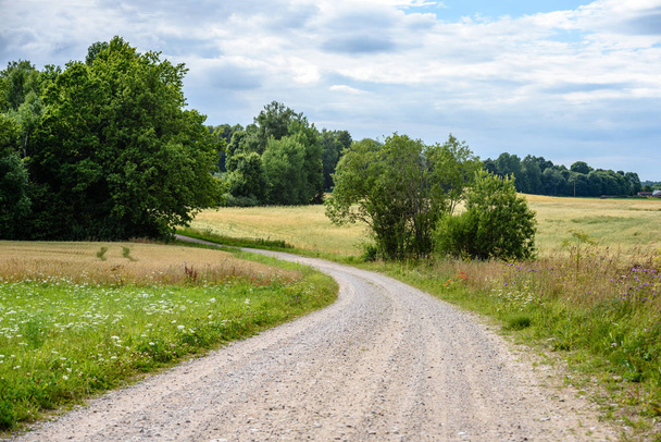 empty country gravel road with mud puddles and bumps. dirty road surface with sand and small stones - Foto, imagen