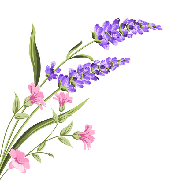 Elegant card with lavender flowers. - Vector, Image