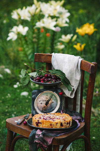 Homemade cherry pie on a wooden chair in the garden - Photo, image