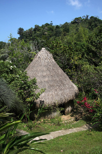 traditionelles reetgedecktes Gebäude mit Strohdach, der armen Bevölkerung Kolumbiens, Südamerika. - Foto, Bild