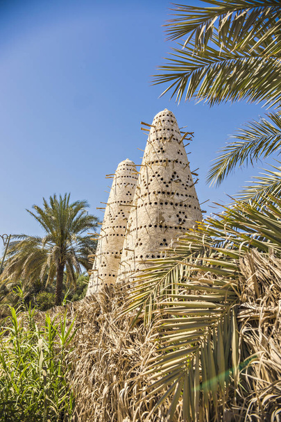 Colombier égyptien traditionnel en argile. Pigeonnier dans l'oasis de Siwa, Egypte
 - Photo, image